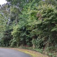 画像1398：【伊豆市】別荘地外_伊豆市中原戸