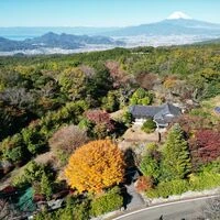 画像1434：【伊豆市】別荘地外_伊豆市中原戸
