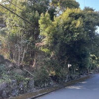 画像1512：【伊豆市】別荘地外_伊豆市中原戸