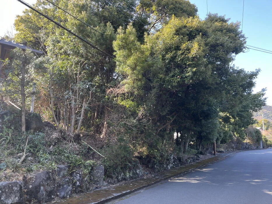 画像1512：【伊豆市】別荘地外_伊豆市中原戸