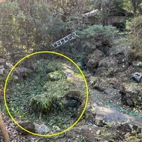 画像1513：【伊豆市】別荘地外_伊豆市中原戸