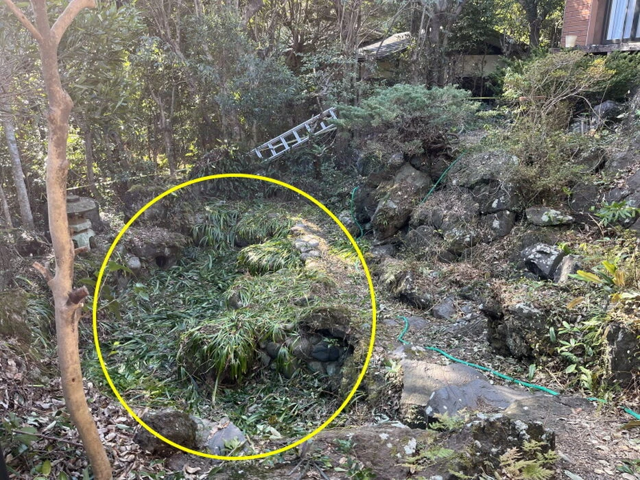 画像1513：【伊豆市】別荘地外_伊豆市中原戸