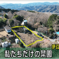 画像1880：【伊豆市】別荘地外_伊豆市中原戸