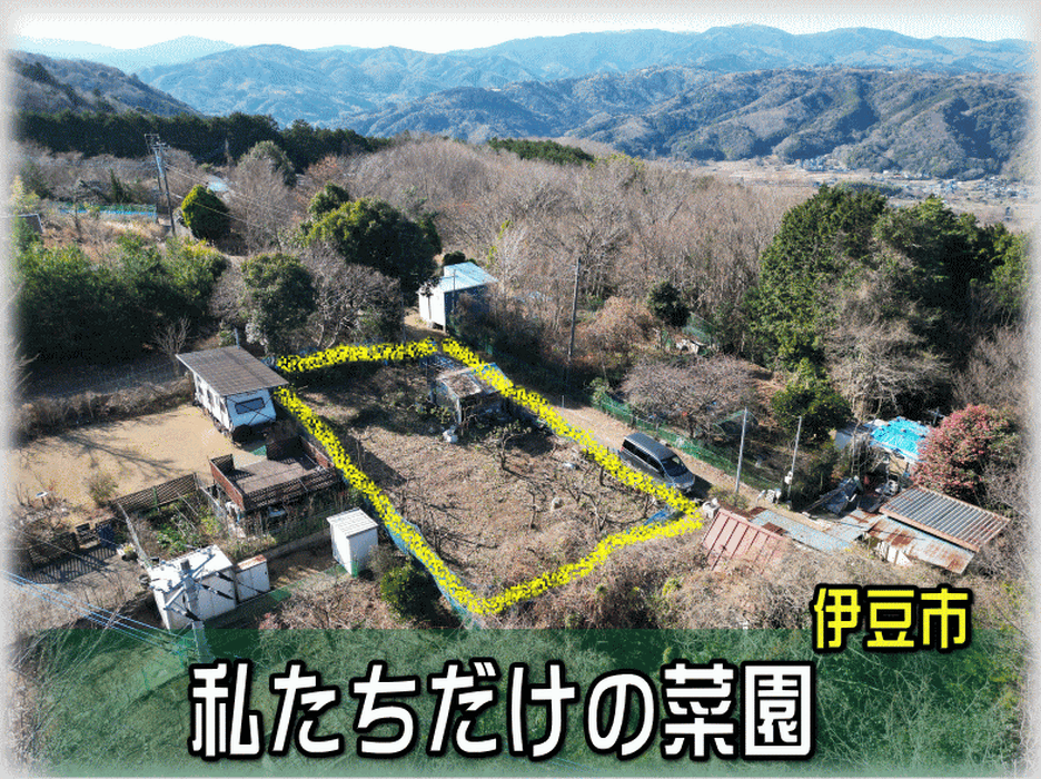 画像1880：【伊豆市】別荘地外_伊豆市中原戸