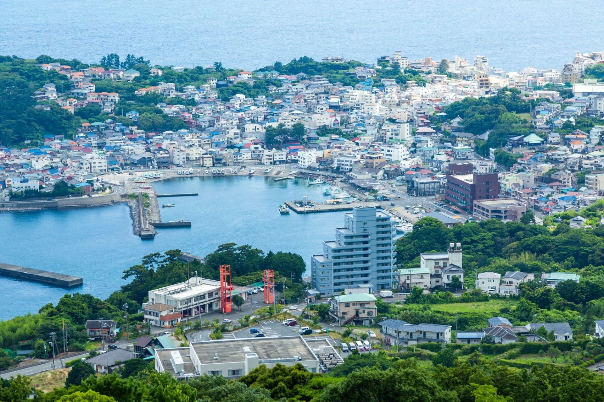 特徴